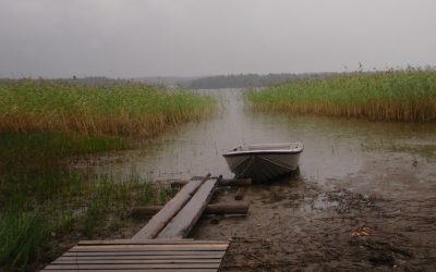 Sala- ja Ruuhijärvien pinnankorkeuksien vaihtelu jatkuu