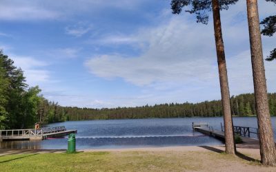 Vähä-Tiilijärven tehostettu seuranta käynnissä