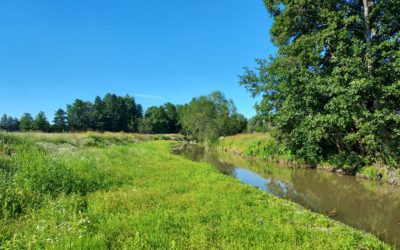 Kokonaisvaltainen vesienhallinta on kuuma sanapari