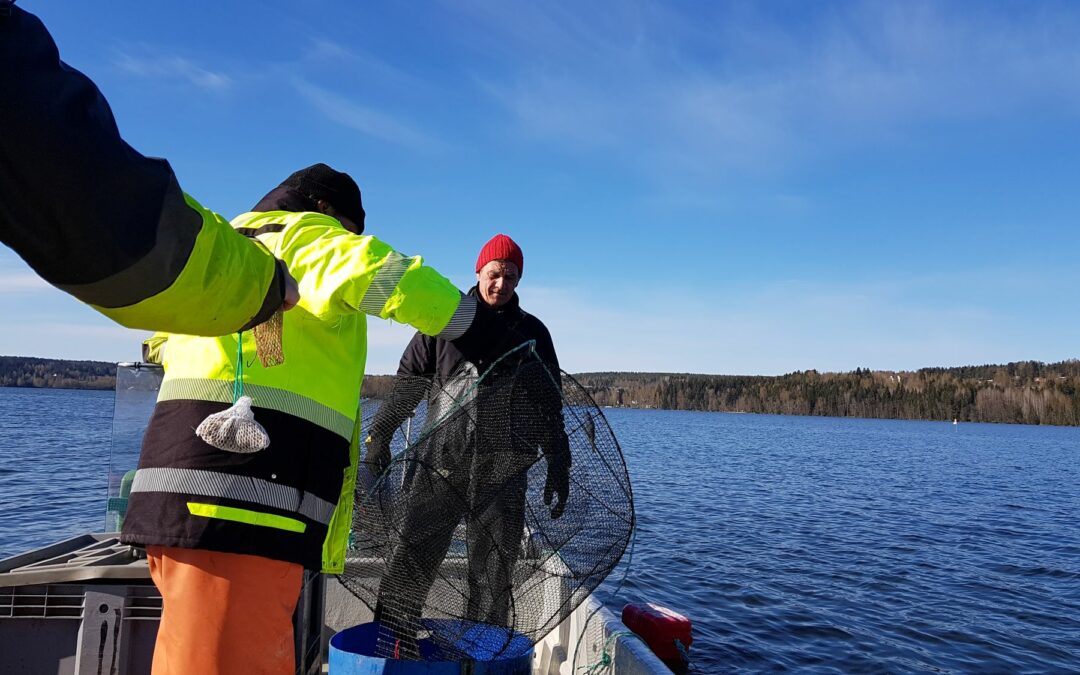 Vesienhoidon toimenpiteet Lahden seudulla 2019-20