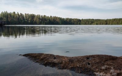 Vesienhoitoavustuksia viidelle taholle