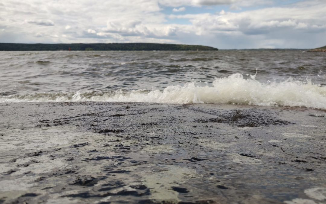 Tulossa Vesijärvi-aiheinen luentosarja Sukellus Vesijärveen