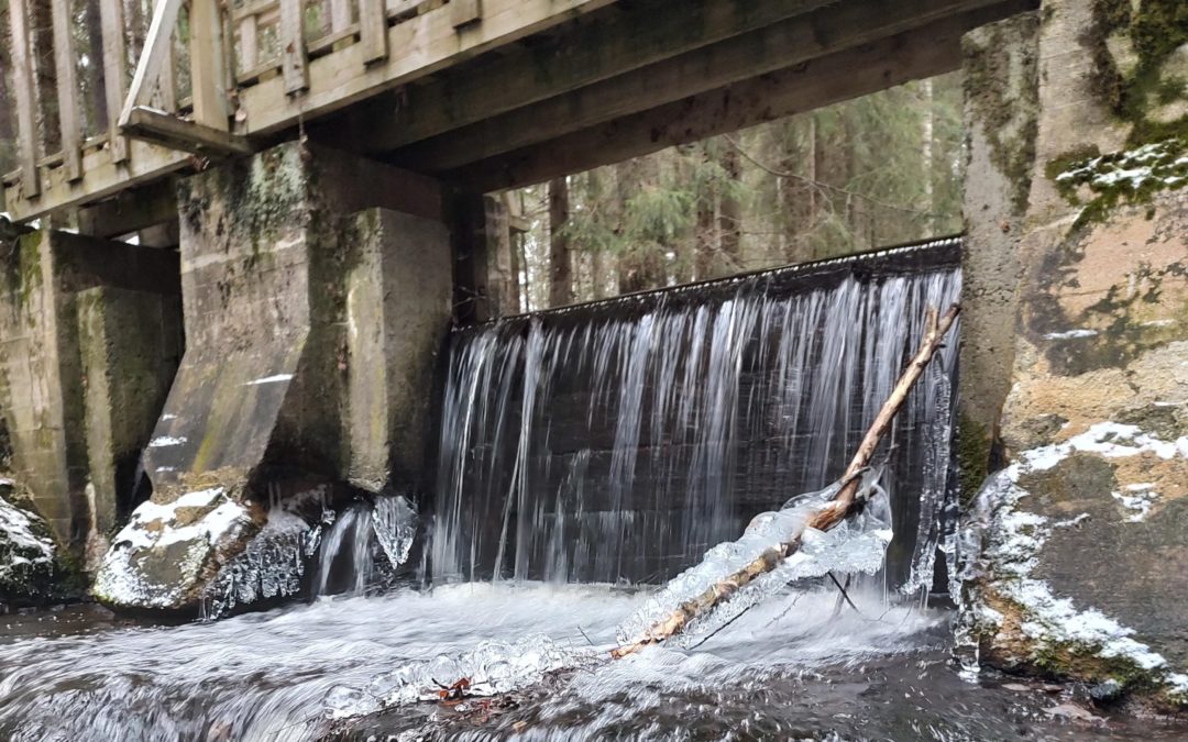 Hahmajärvi-ilta toivottaa tervetulleeksi järven tilasta kiinnostuneet