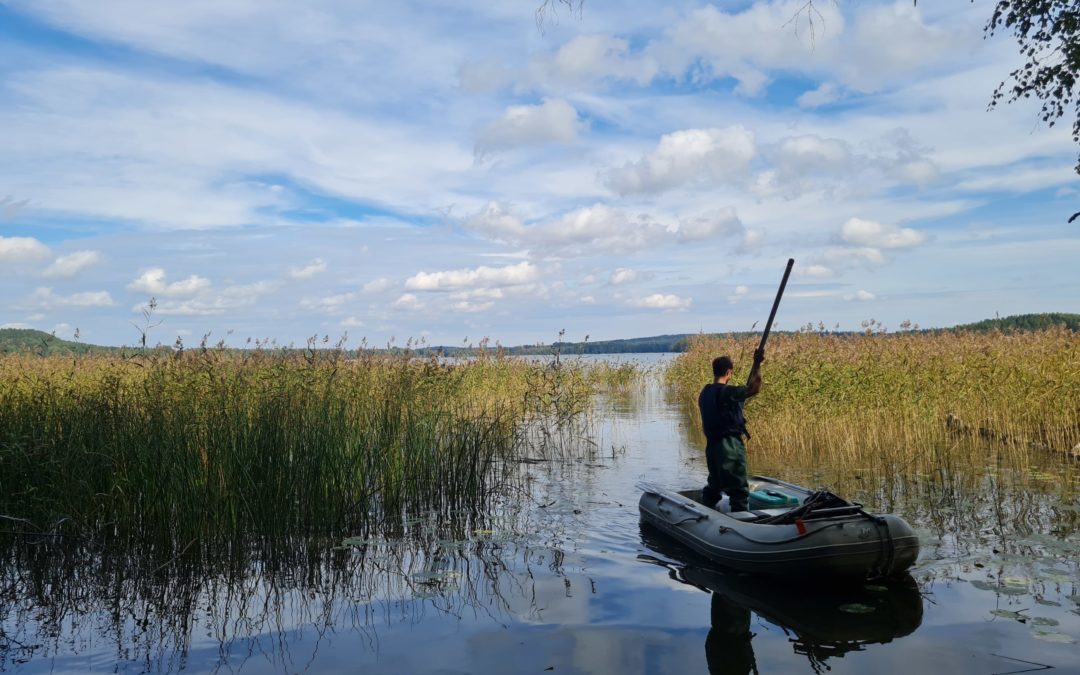 Vesijärvellä selvitetään järvien merkitystä hiilinieluina