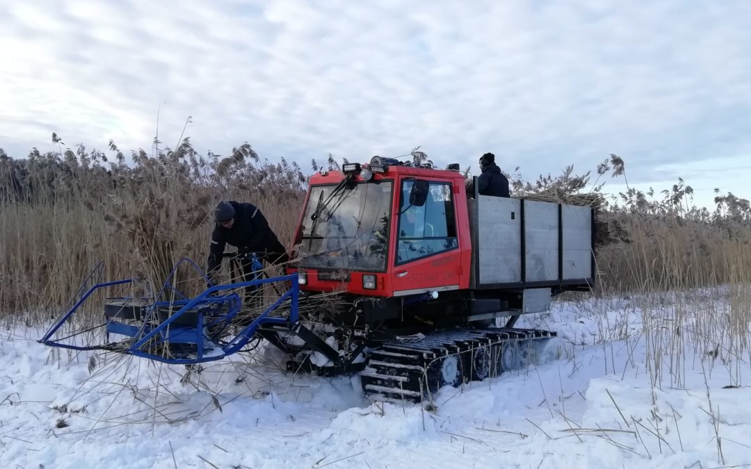 Talviniittoja paukkupakkasella ja suojakelissä