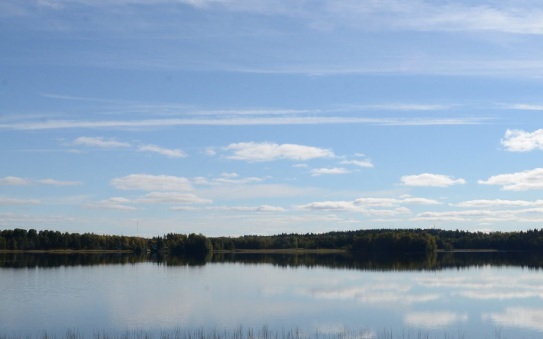 Vesijärvisäätiön vesienhoitoavustukset vuodelle 2024