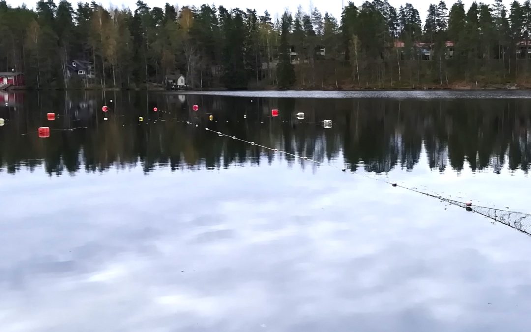 Vähä-Tiilijärven keväinen hoitokalastussaalis lähes 700 kg