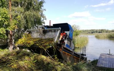 Elokuu oli Vesijärvisäätiön kesäniittojen aikaa