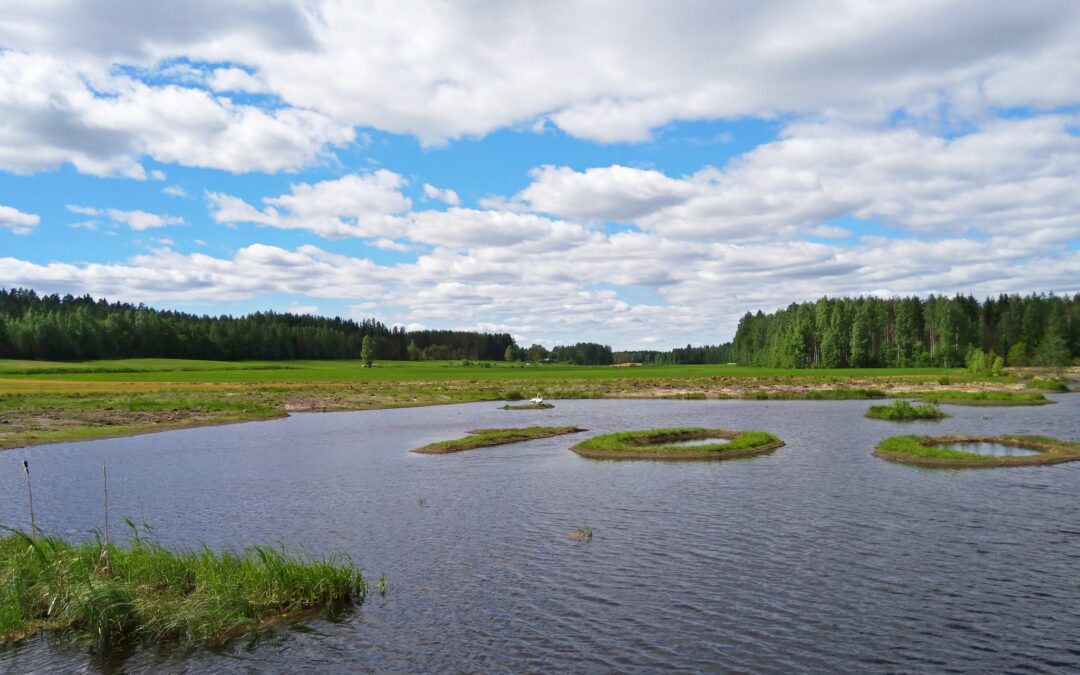 Oppia ja tiedonvaihtoa liittyen metsätalouden vesiensuojeluun