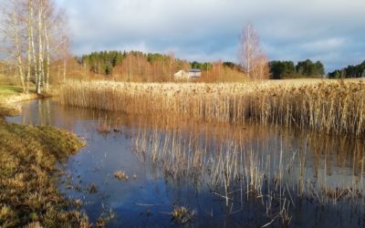 Paikalliset aktivoituneet Salajärven-Ruuhijärven vedennostohankkeen edistämisessä