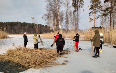 Ruokoja nippuun talviniitoista