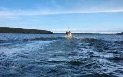 Vesijärven ravinnepitoisuudet ovat laskusuunnassa, levien määrä ei