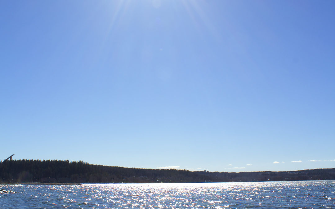 Vesijärvi nousee esiin Vesijärvi-viikolla 2.-9.6.2024