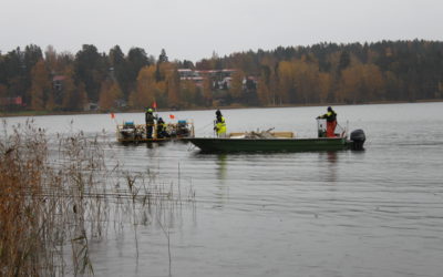 Hoitokalastus alkoi Kymijärvellä