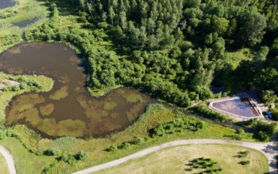 Alusveden suodatus puhdistaa vesiä, mutta syntyvän ravinnesakan hyötykäyttö vaatii kehittämistä