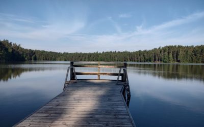 Vähä-Tiilijärven koekalastus paljasti särjen lisääntyneen