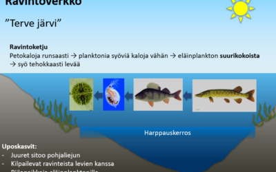 Vähä-Tiilijärven hoitokalastusta on syytä jatkaa ja seurannalla ennakoida tilan muutoksia