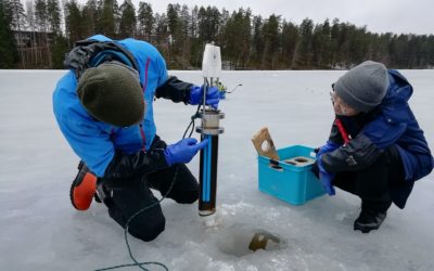 Sisäinen kuormitus rehevöittää Vähä-Tiilijärveä