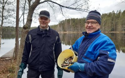 Talkoolaiset ahkeroivat Vähä-Tiilijärven hoitokalastuksessa