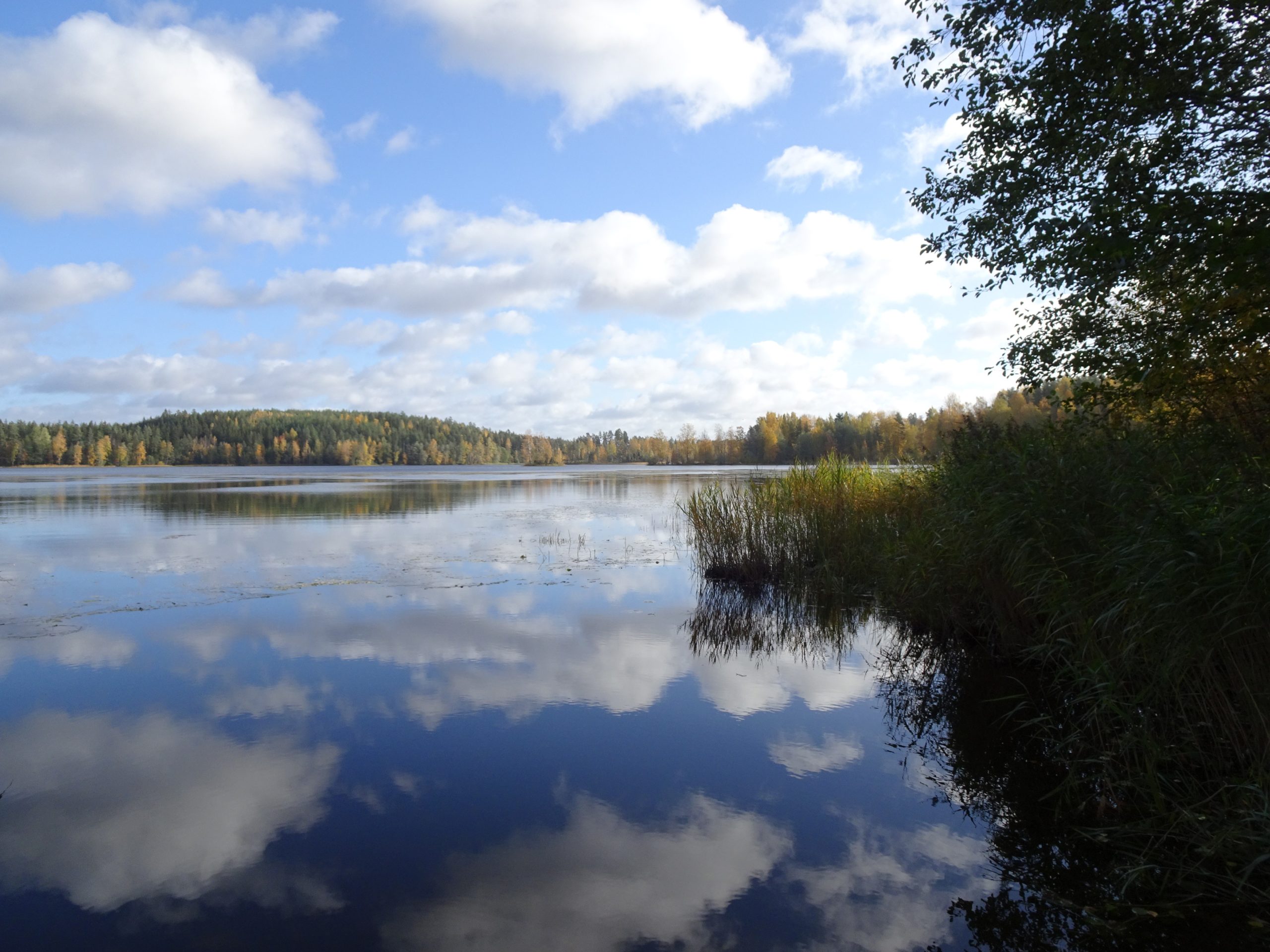 Villähteen kukkanen järvimaisema